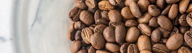Roasters I get coffee from & the coffees I loved – 2024-25